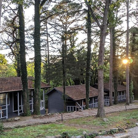 Adventure Cabin 5 - King W Private Hot Tub Villa Eureka Springs Eksteriør billede